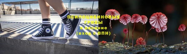 apvp Алексеевка