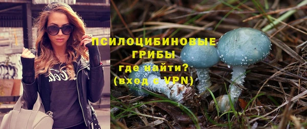 трава Алексин