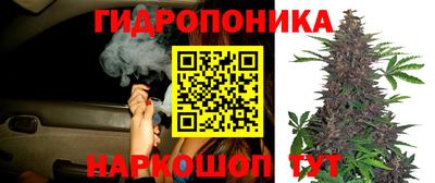 кокаин Заводоуковск