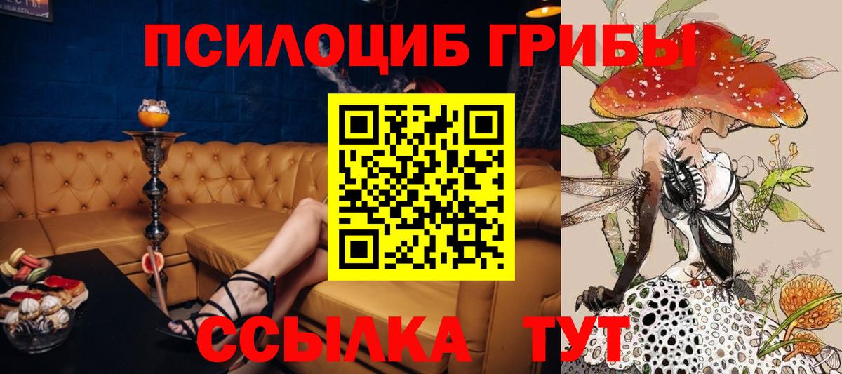 Лобня  Псилоцибиновые грибы мухоморы  Вход с VPN 