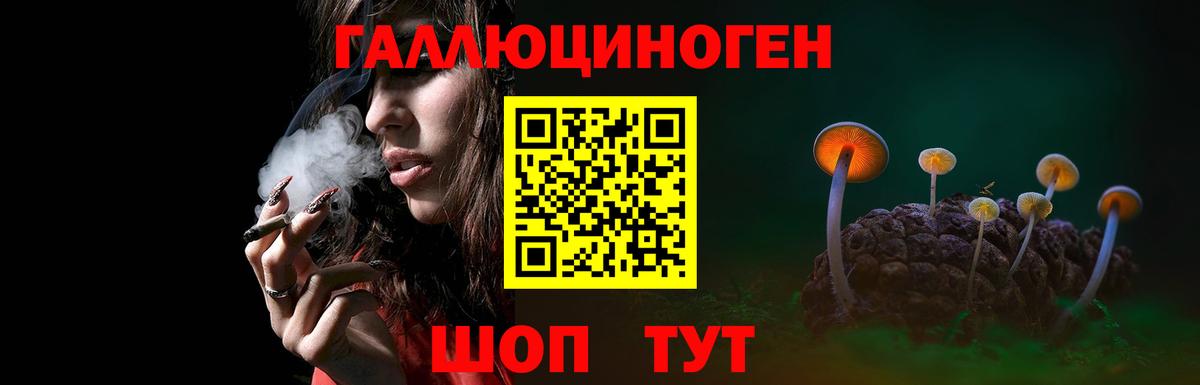 Псилоцибиновые грибы Psilocybine cubensis Лобня