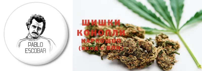 shop Telegram  Лобня  Бошки марихуана планчик  как найти закладки 