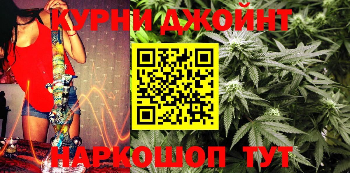 Бошки Шишки планчик  Вход с VPN  Лобня  Шишки марихуана семена 